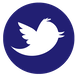 Twitter Icon copy